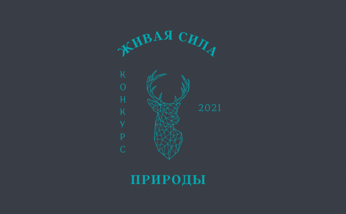 Финал Конкурса детских и молодежных маршрутов «Живая сила Природы»