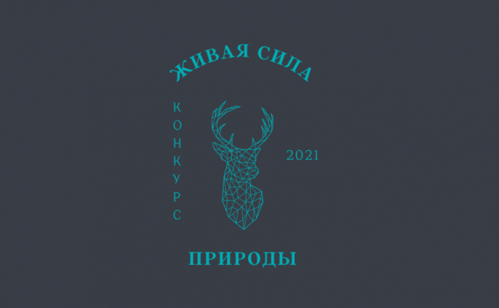 Финал Конкурса детских и молодежных маршрутов «Живая сила Природы»